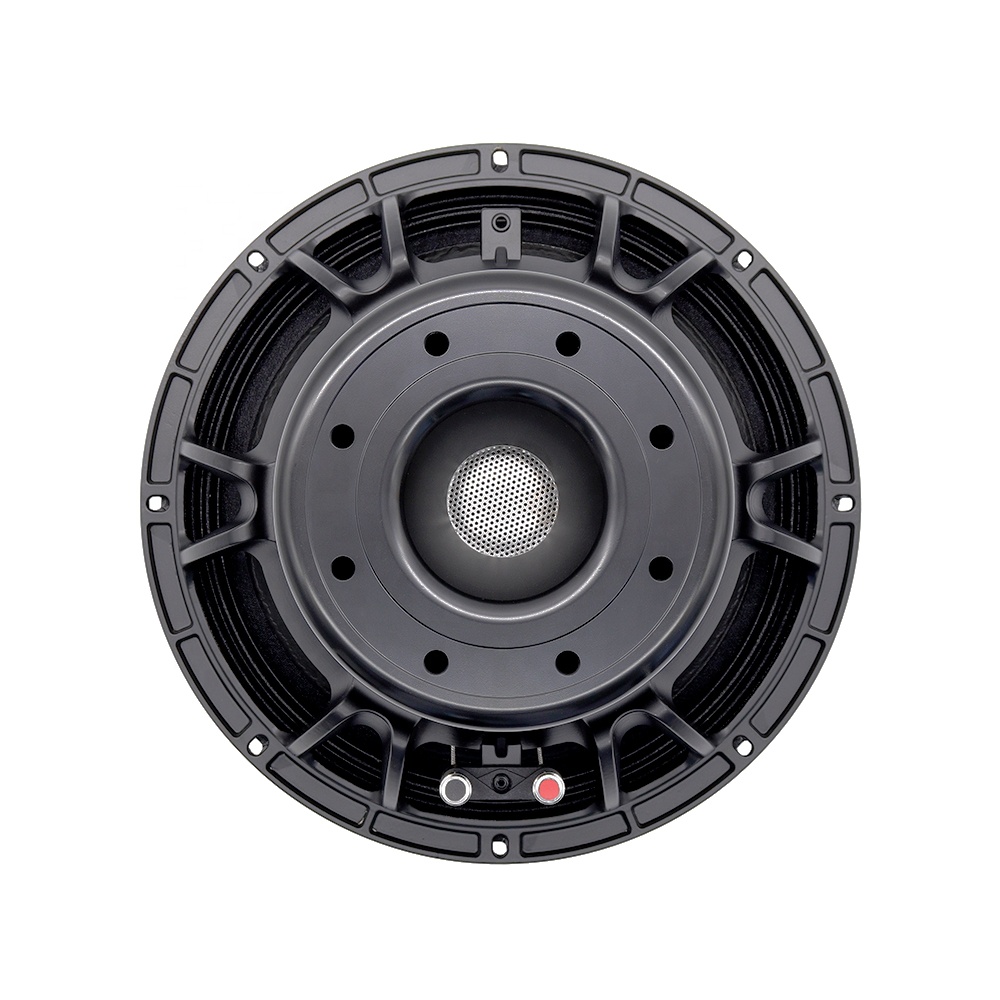 Speakers - Peralatan Audio Profesional 12DS Pro Speaker