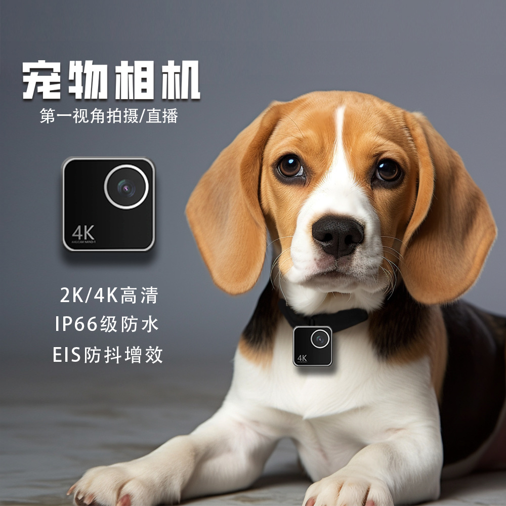 Kamera leher pintar untuk hewa - Cameras ulasan dan harga