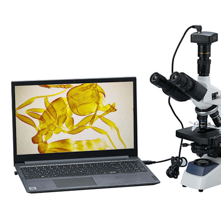 Mikroskop Video Digital Biolog - Cameras ulasan dan harga